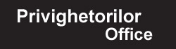 Privighetorilor Office